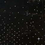 Chris Martin, Speed of Light, 2024