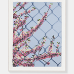 Paul Anthony Smith, Untitled, 2025