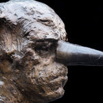 Beth Carter, Blind Fools Game