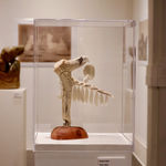 Viktor Iadne, Showshoe Boy, 2022