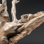 Richard MacDonald, Horizons, Serigraph