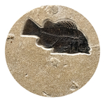 10" Round Fossil Table 2385t (SOLD)