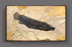 Fossil Fish Mural 5002gm