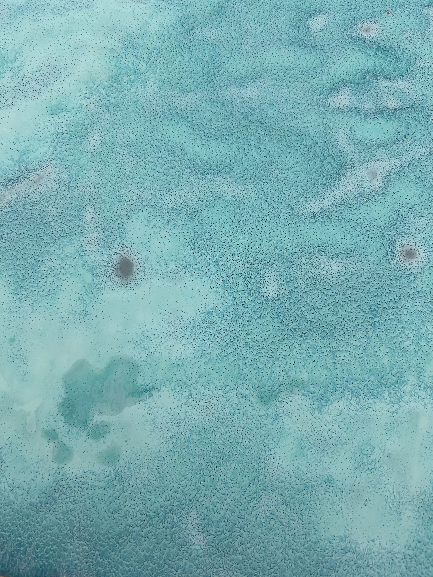 Quiet Splash Caroline Mesquita