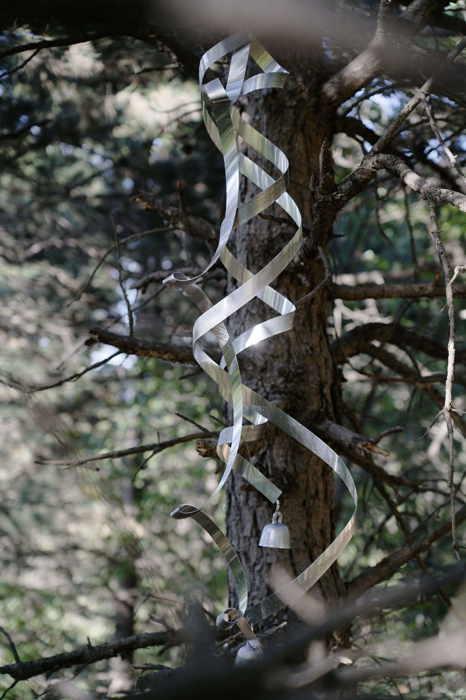 Ocula | Aranya Plein Air Art Project: In Photos