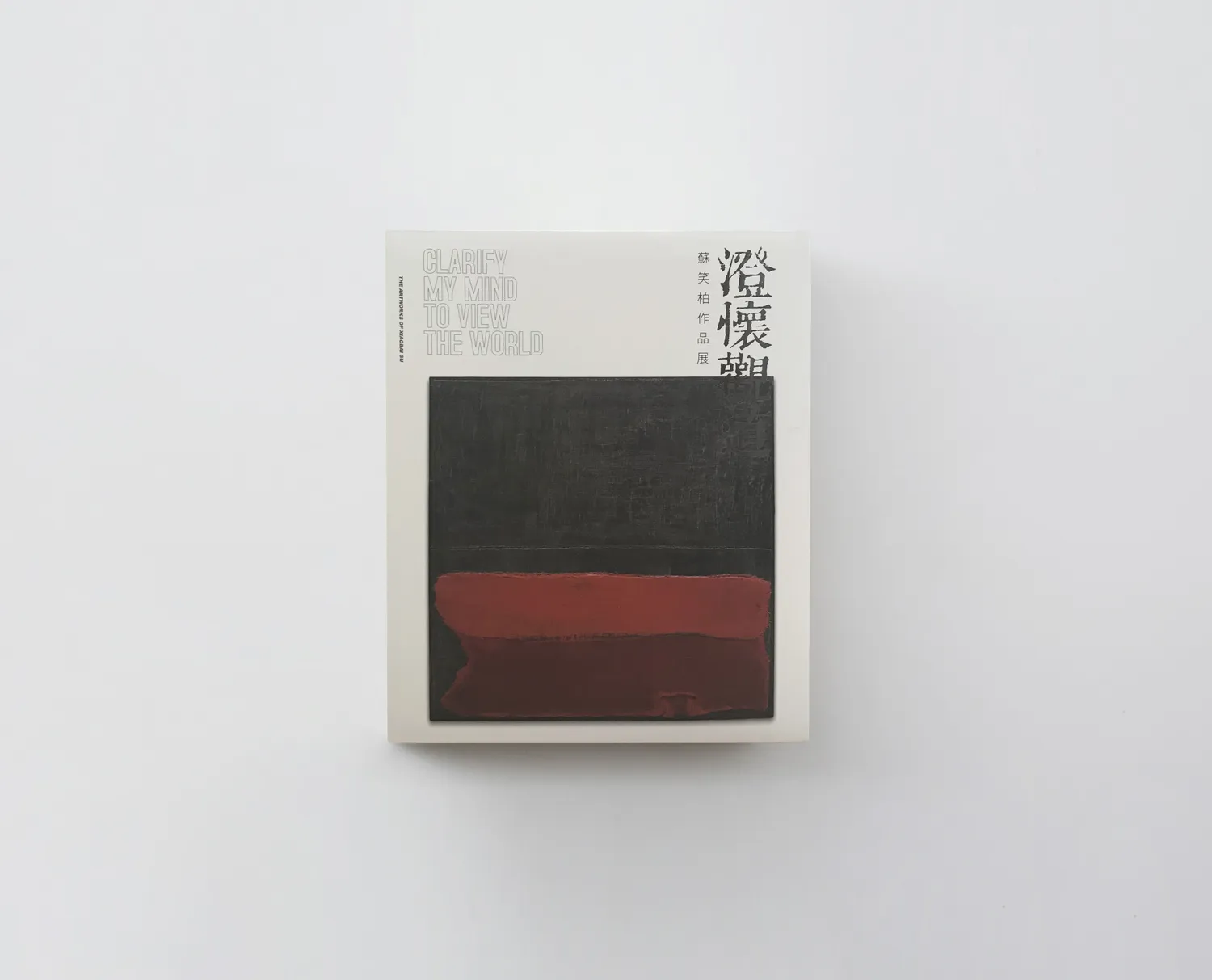 蘇笑柏｜澄懷觀道