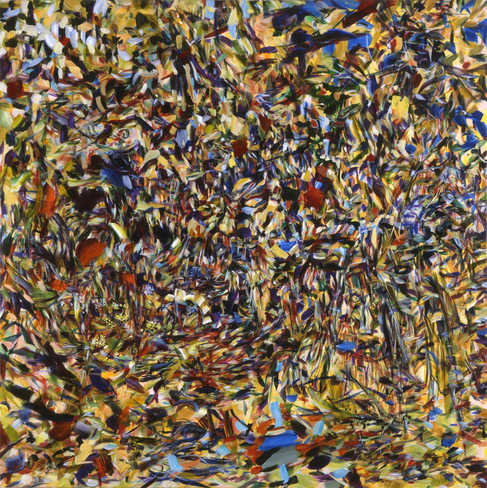 Naomie Kremer, Swarm, 2008