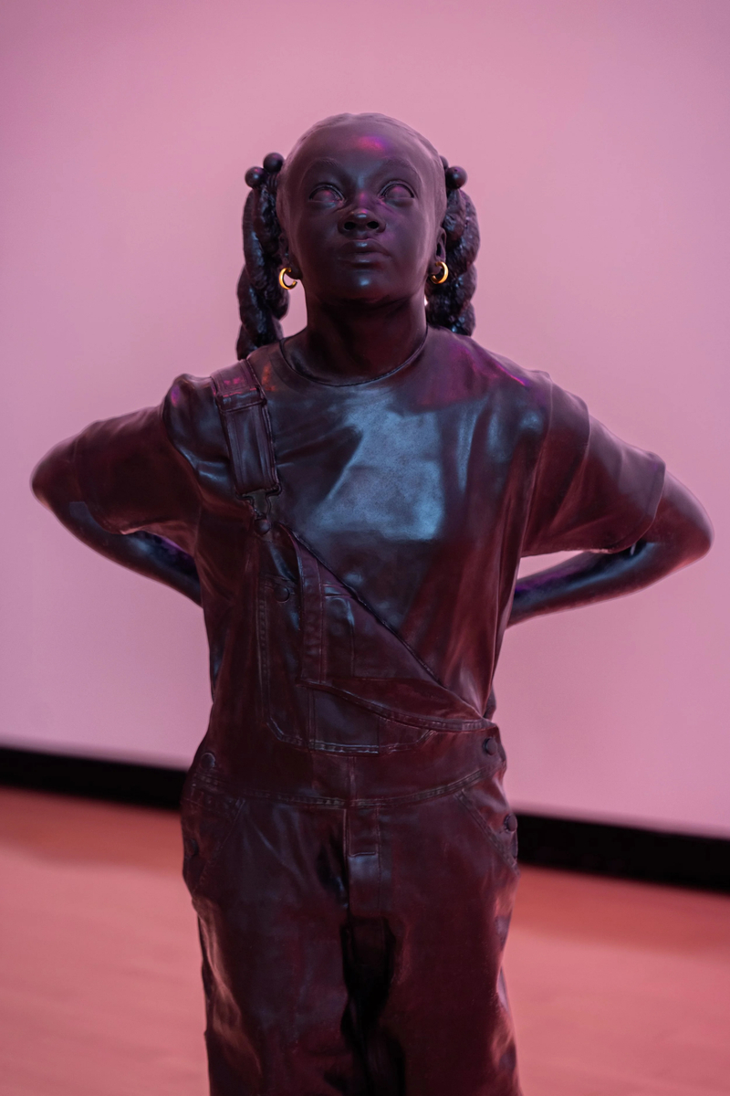 Esmaa Mohamoud How Sweet It Would Be If I Found I Could Fly, 2024&nbsp;