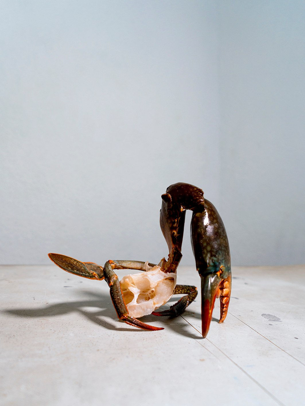 Florian Hetz, Untitled (14 - small), 2019