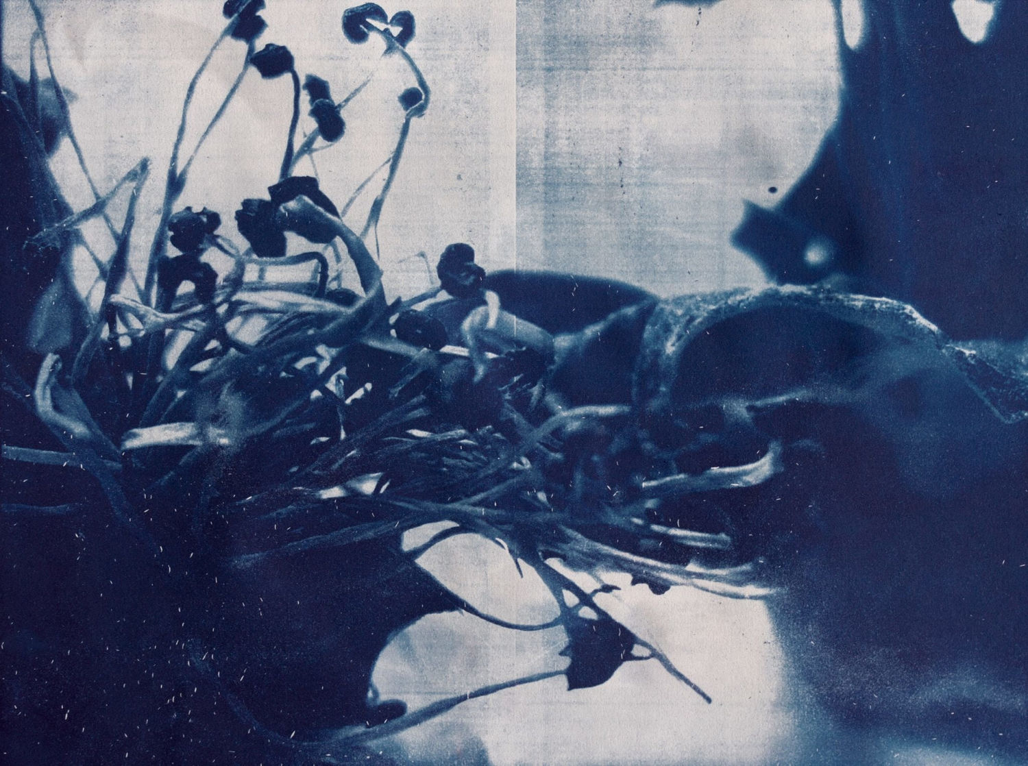 Zarrin Fatima Shamsi, Untitled II, 2021