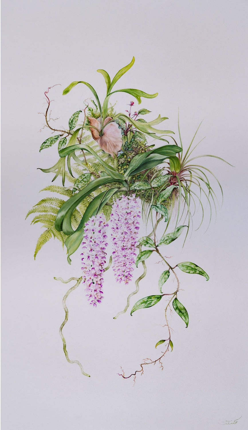 Priti Vadakkath, Conservatory 8, 2021