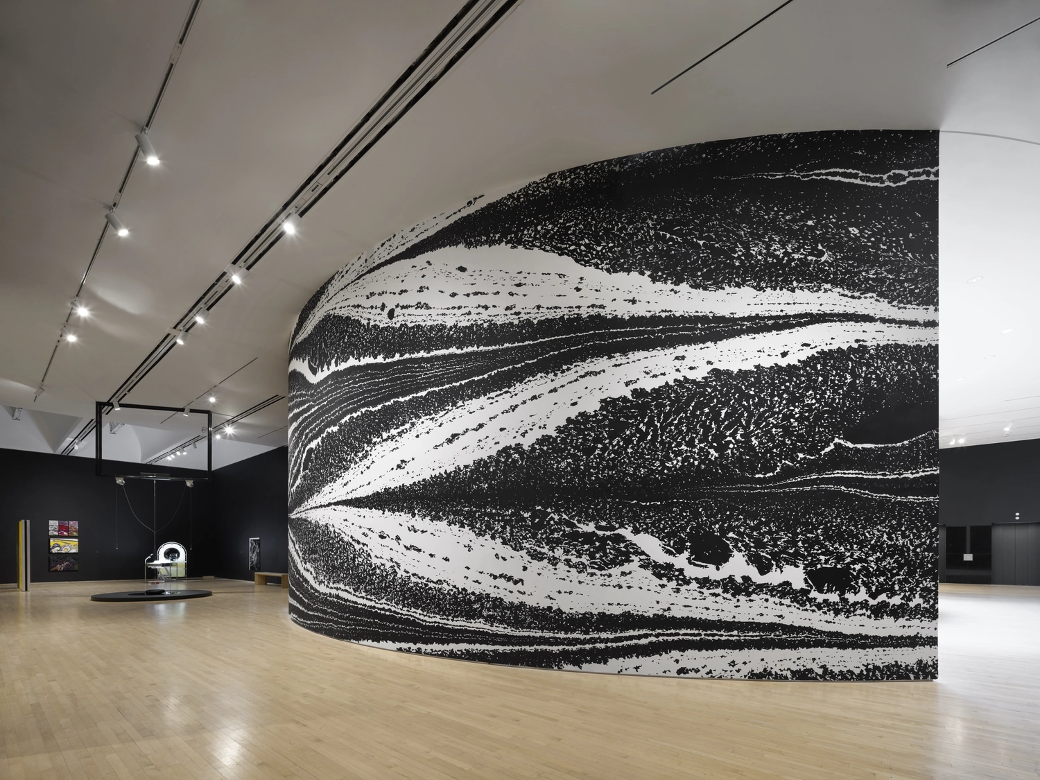 Tauba Auerbach — S v Z | Tauba Auerbach | Esther Schipper