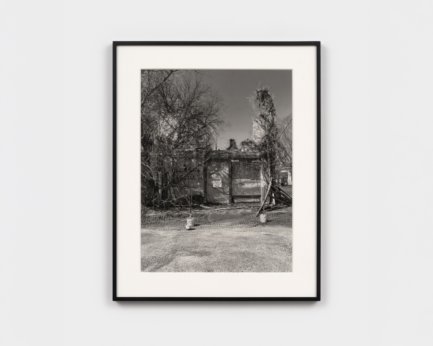 Allison Carey: "Ralph Lemon: From Out of Space"