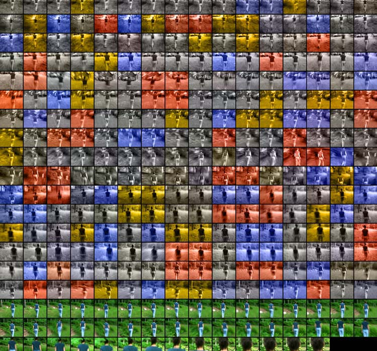 MANUAL (Hill / Bloom)