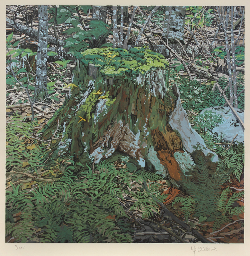 Stump, 2000,&nbsp;woodcut on Nishinouchi paper,&nbsp;35 x 34 inches