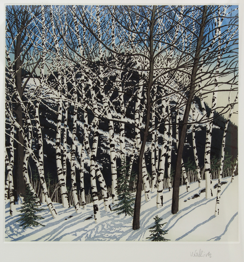 Birches, 2005,&nbsp;aquatint on Rives BFK, 25 x 22 inches