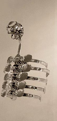 Adeela Suleman Case 4