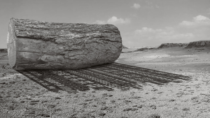 Gigi Scaria Shadow of the Ancestors (Ed. of 5)