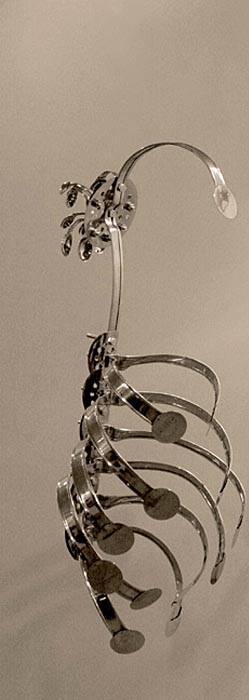 Adeela Suleman Case 3