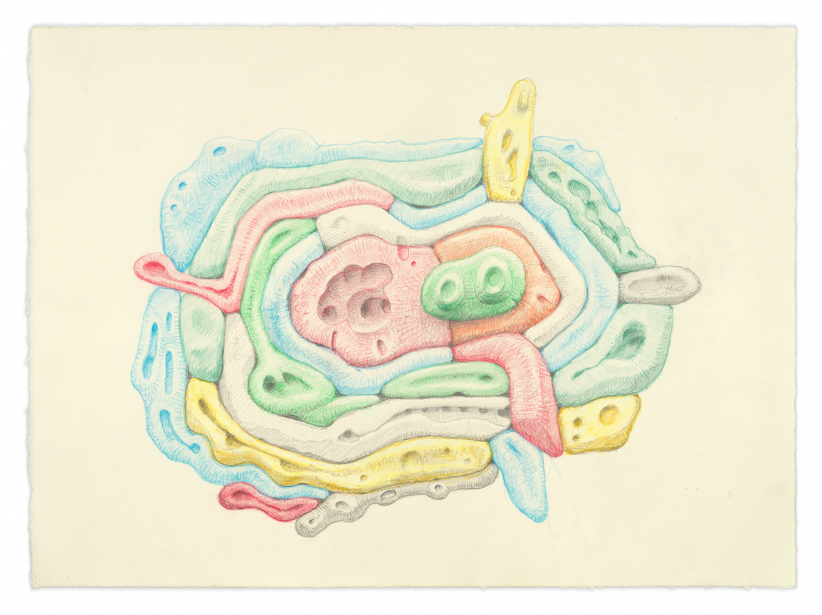Pale Orbit, 2024, Colored pencil and graphite on paper,