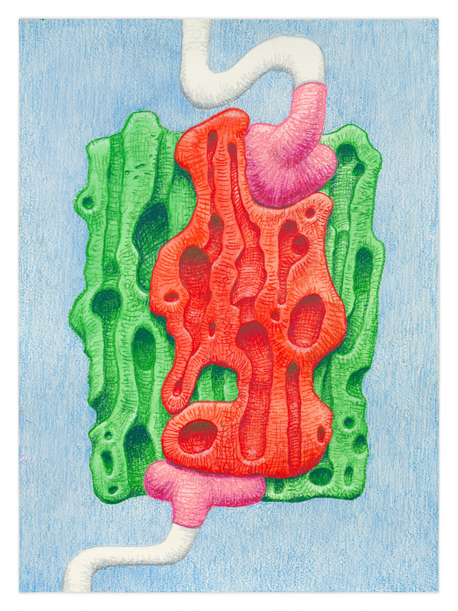 Gazmoab II, 2025, Crayon on paper,