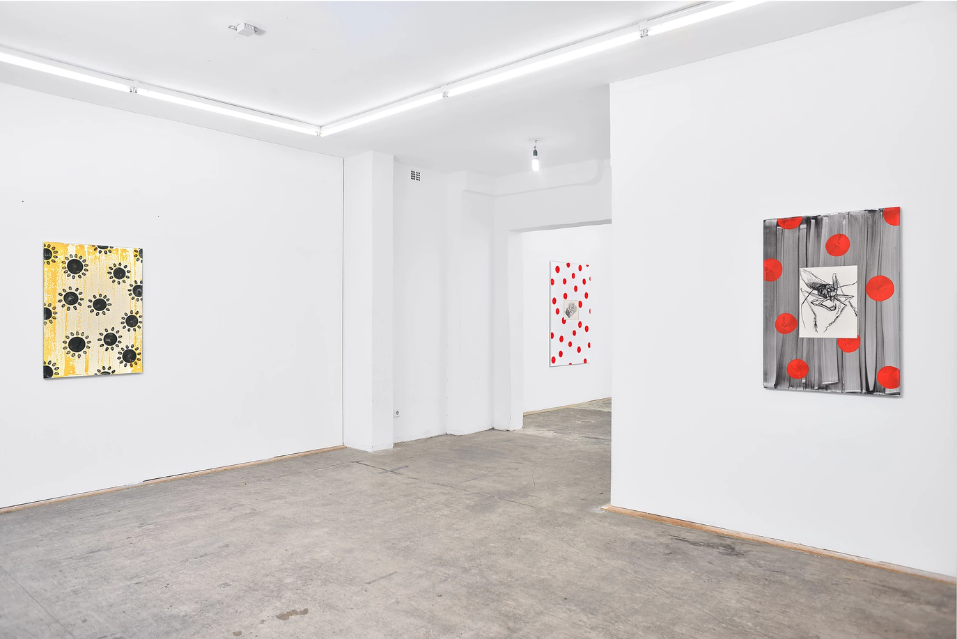 Will Benedict and Anita Leisz, Malaria installation&nbsp;views, Neue Alte Br&uuml;ecke, 2016