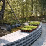 Image thumbnail: Gabriel Orozco Garden