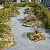 Image thumbnail: Gabriel Orozco Garden