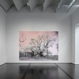 Installation view: “Tacita Dean: Blind Folly,” The Menil Collection, 2024. photo credit: Paul Hester / The Menil Collection