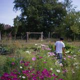 Danh Vo. © Nick Ash