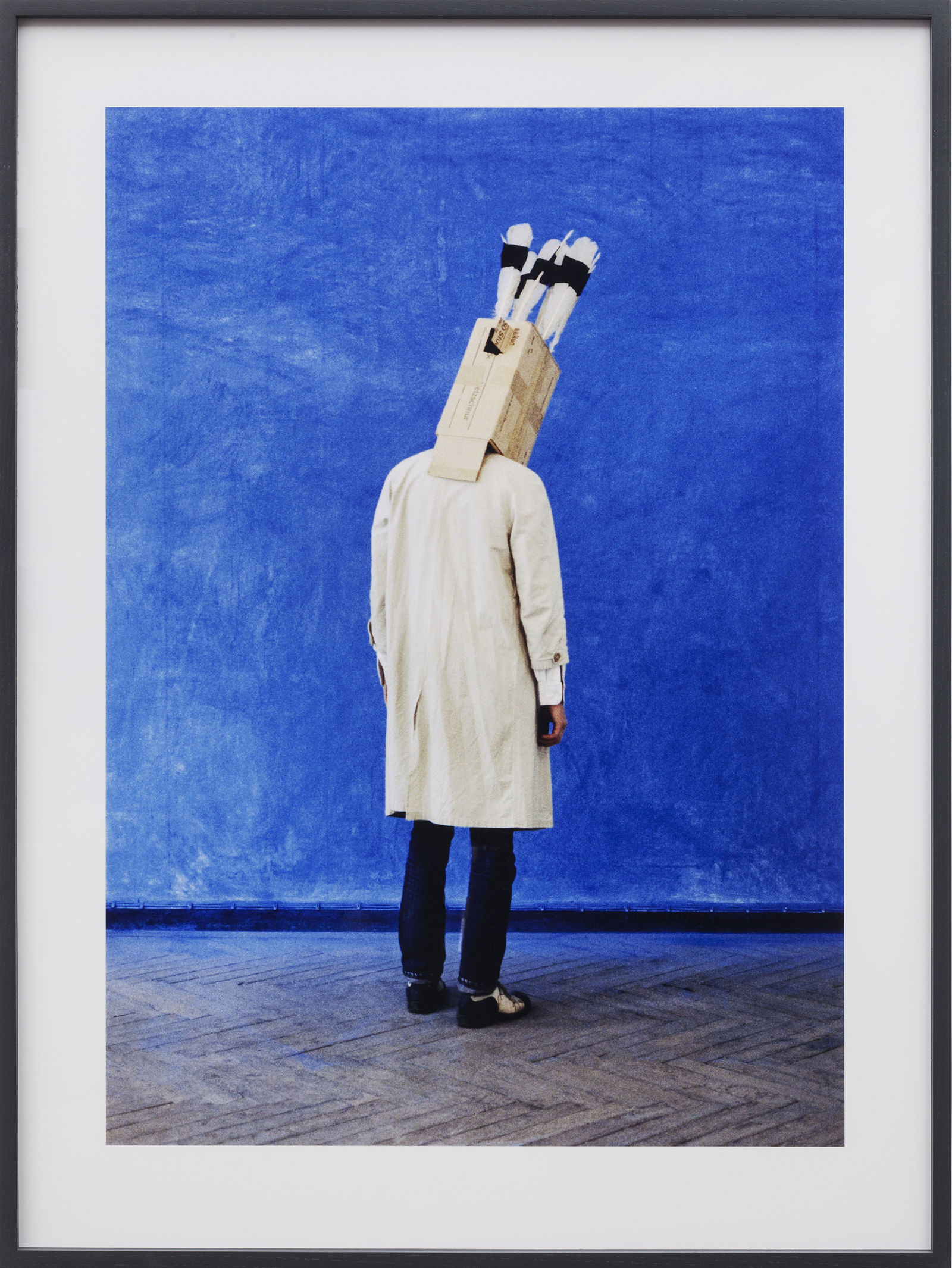 Lothar Baumgarten Makunaíma, 1971