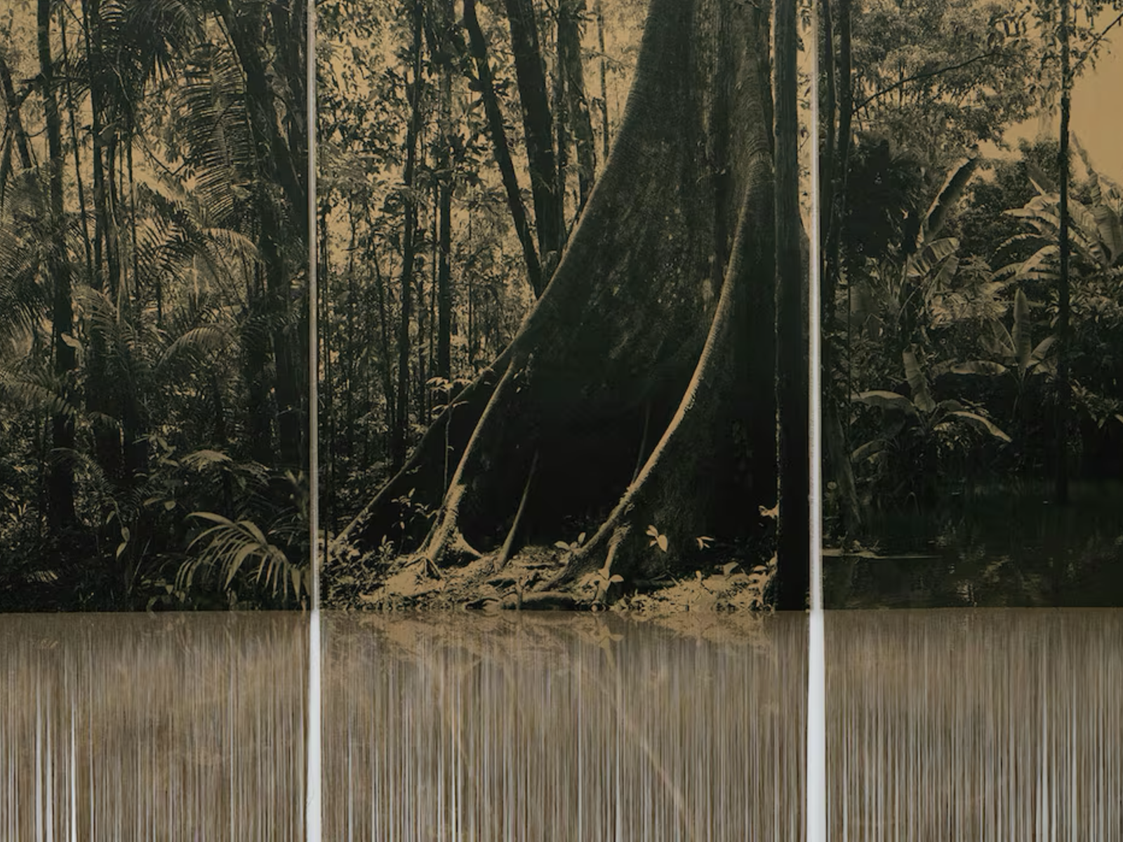 'Rio', by Ana González, at the Sean Kelly Gallery in NY: living body and place of memory