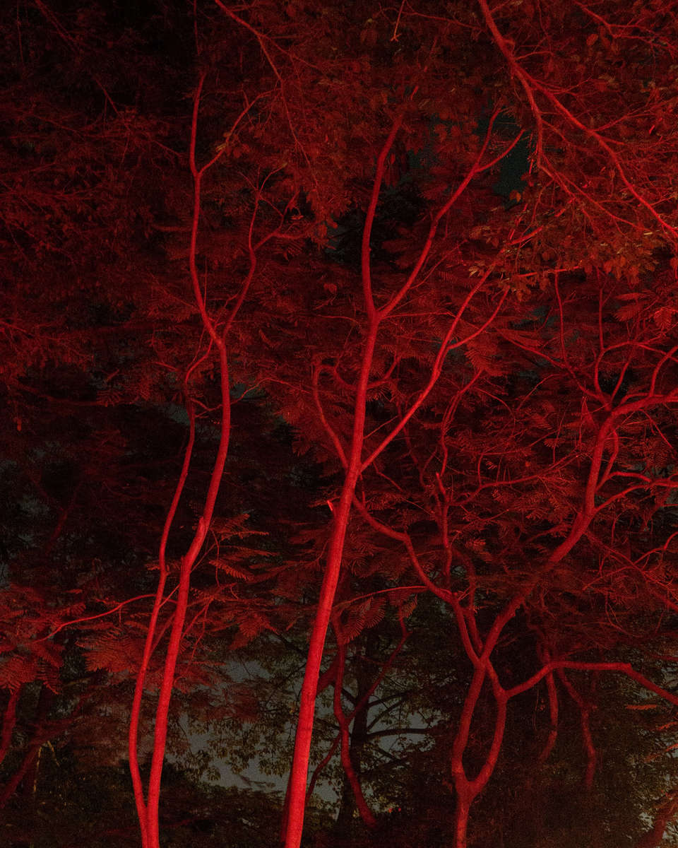 Christopher Anderson 