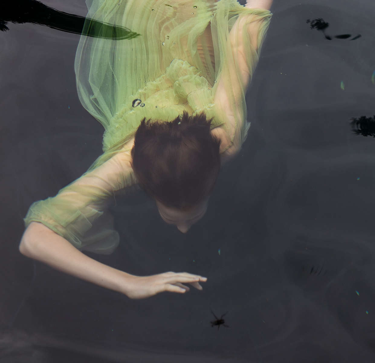 Christy Bush Familiar | In The Viewing Room 