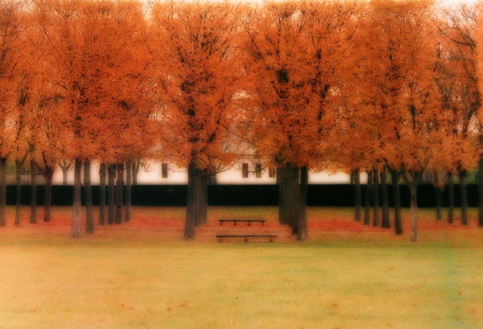 Lynn Geesaman Untitled