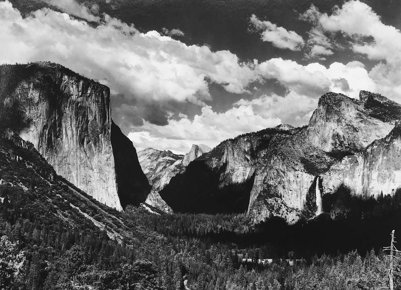 Ansel Adams 