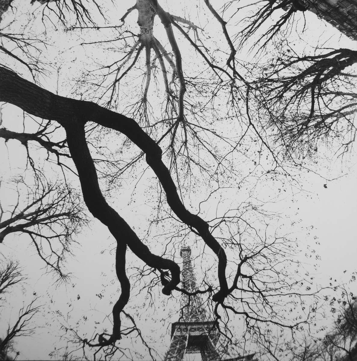 Bruce Davidson  Central Park & Paris