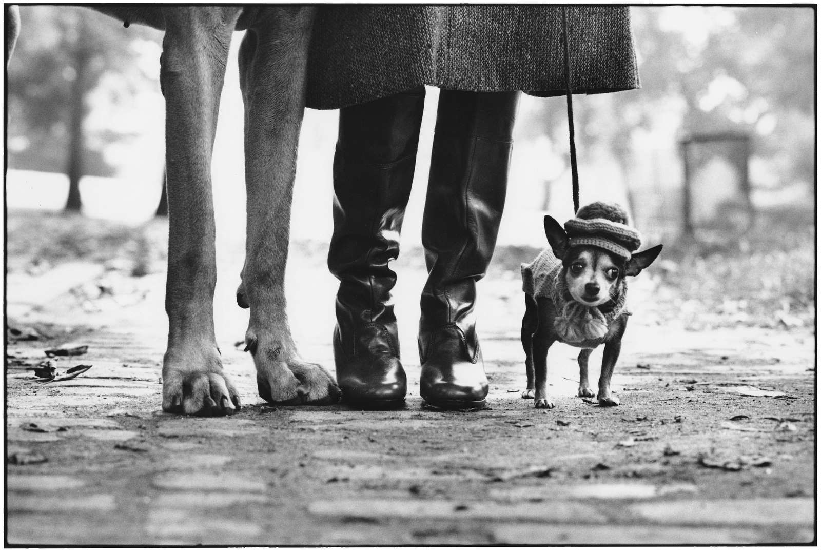 Elliott Erwitt New York, Paris & Rome 
