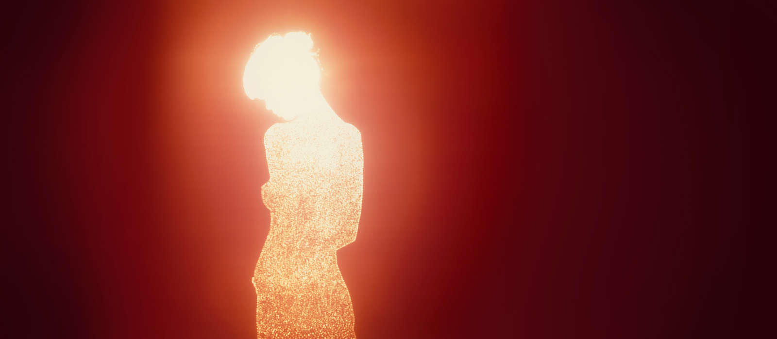 Christopher Bucklow Guests