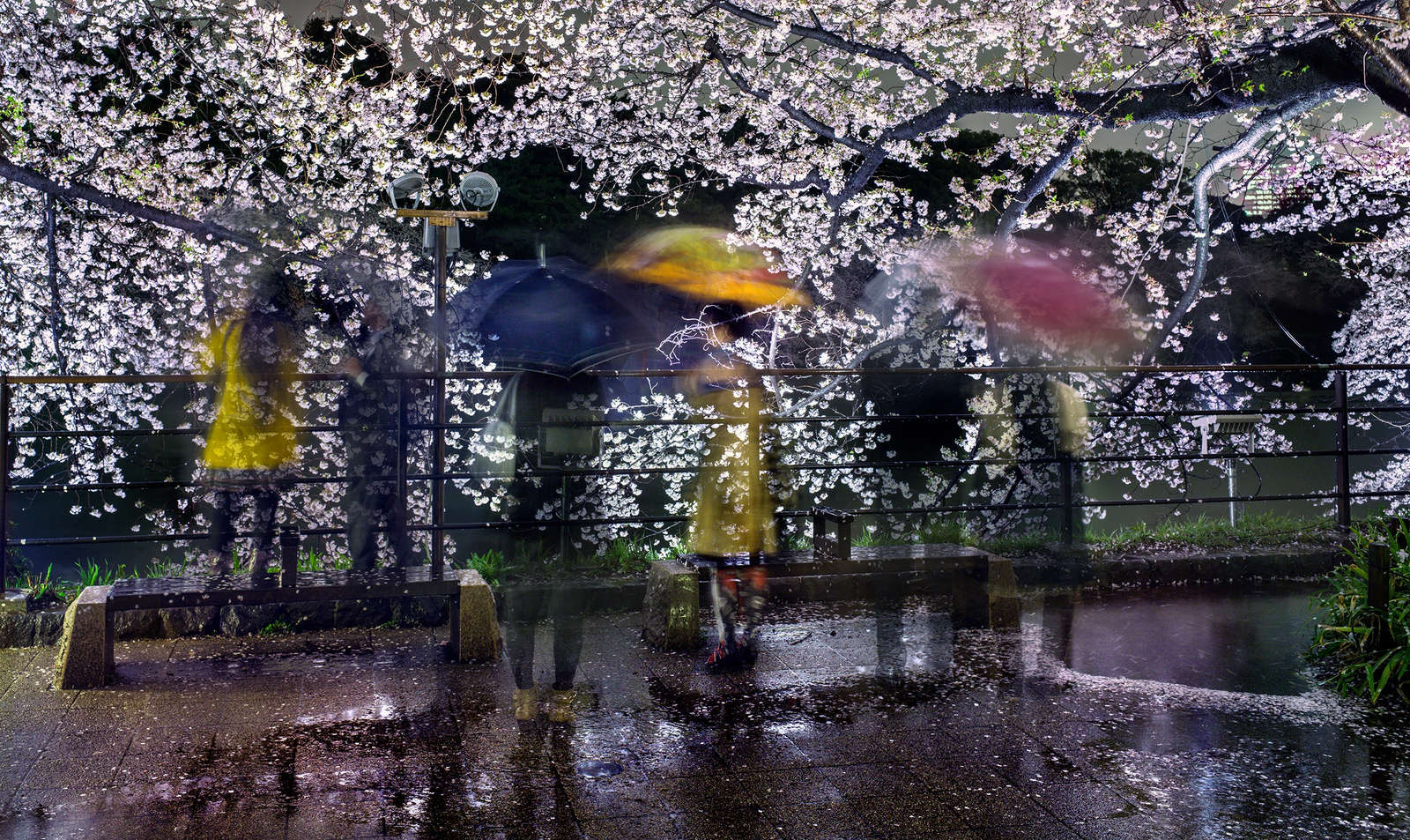 Matthew Pillsbury New Work