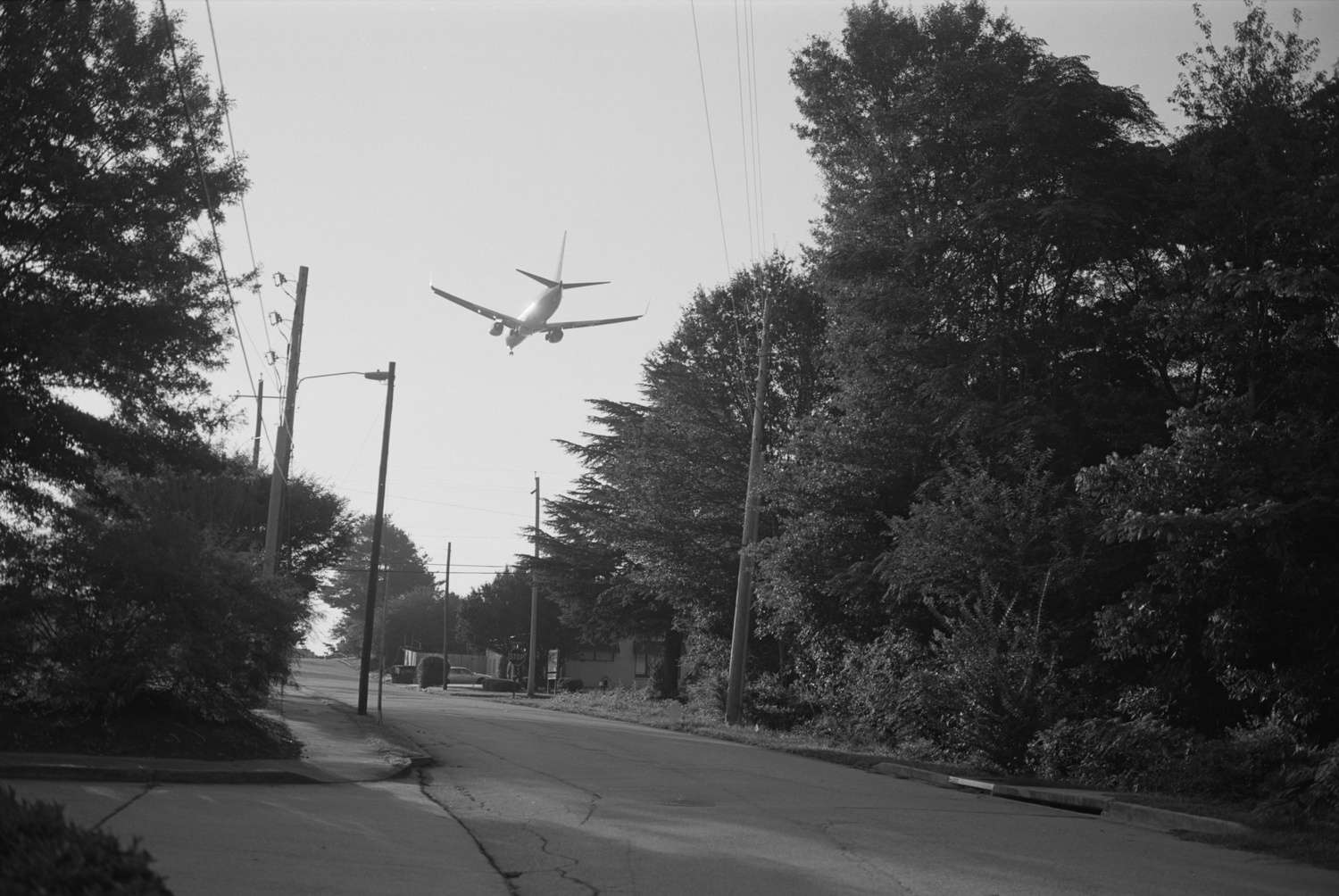 Southern Features Mark Steinmetz’s project on the Atlanta Airport portrays the American South in all its complexity and contradiction.