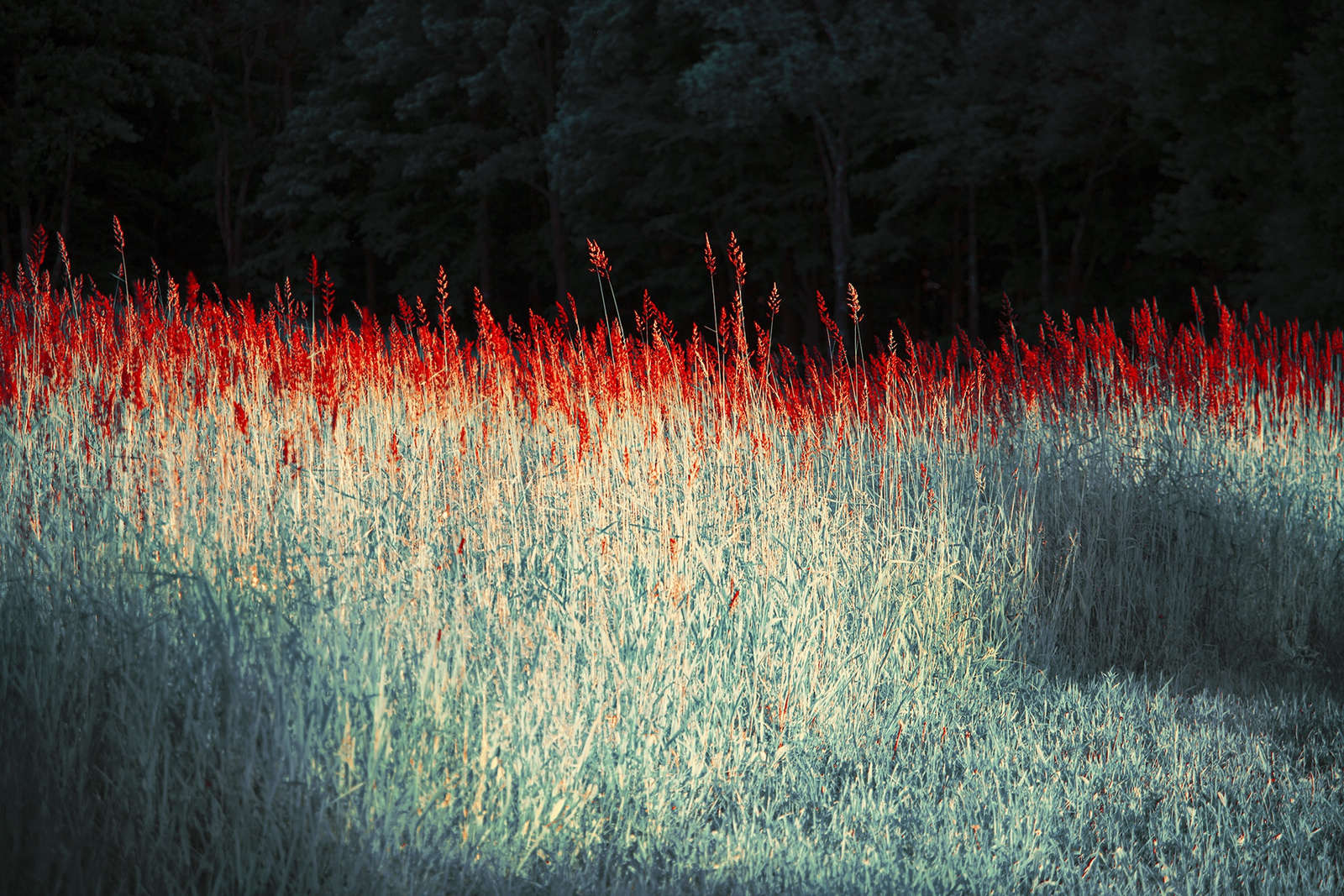 Coming Face to Face with Botticelli By Erik Madigan Heck