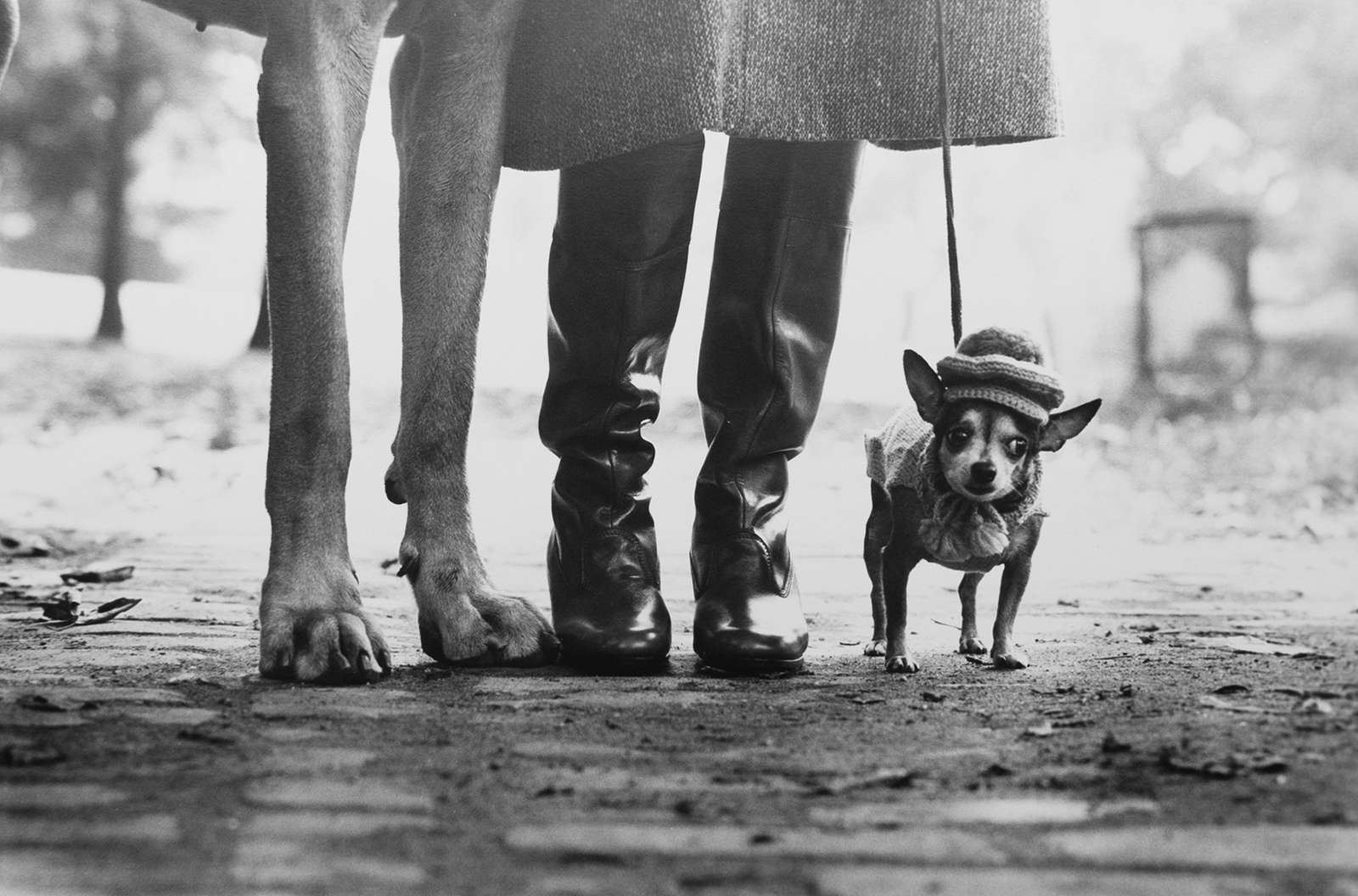 Elliott Erwitt, Whose Photos Are Famous, and Often Funny, Dies at 95 