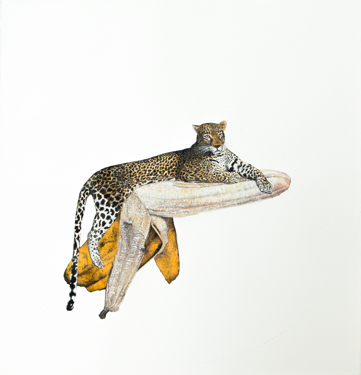 Avishek Sen, He&rsquo;s Not Here to Give a Speech II, 2017