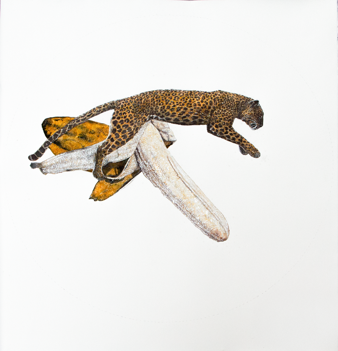 Avishek Sen, He&rsquo;s Not Here to Give a Speech I, 2017