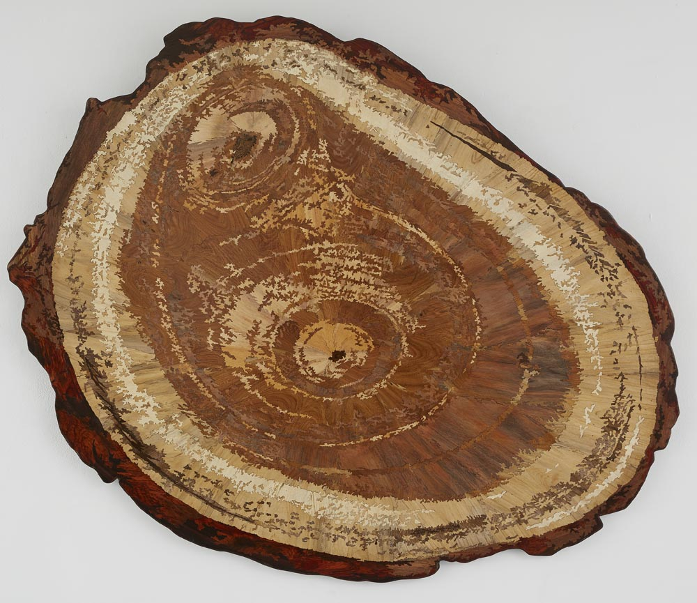 L. N. Tallur, Graft F, 2011