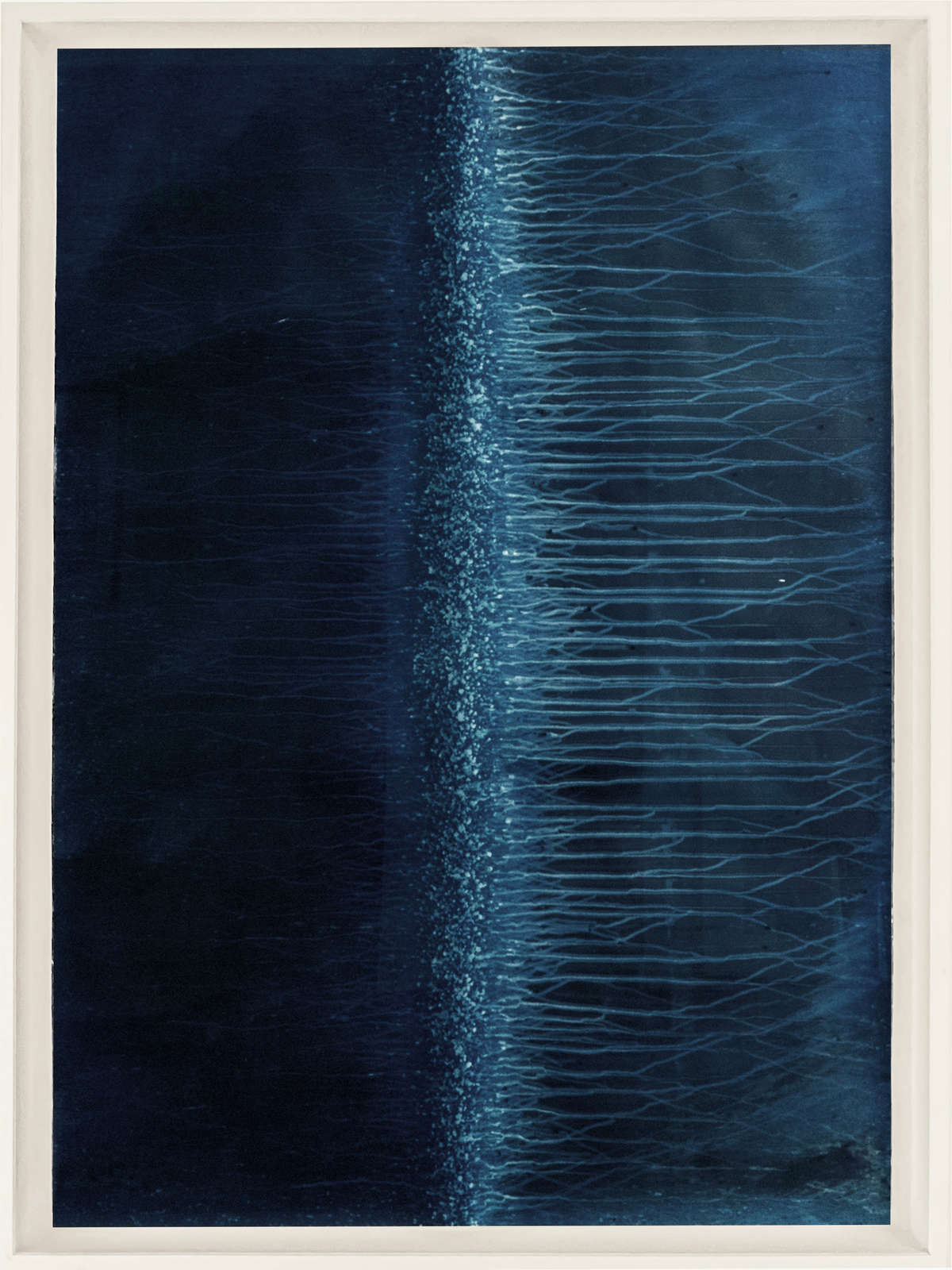 Meghann Riepenhoff, Ecotone #346 (Bainbridge Island, WA 03.11.18 + 03.17.18, Rain Falls in Every Direction), 2018