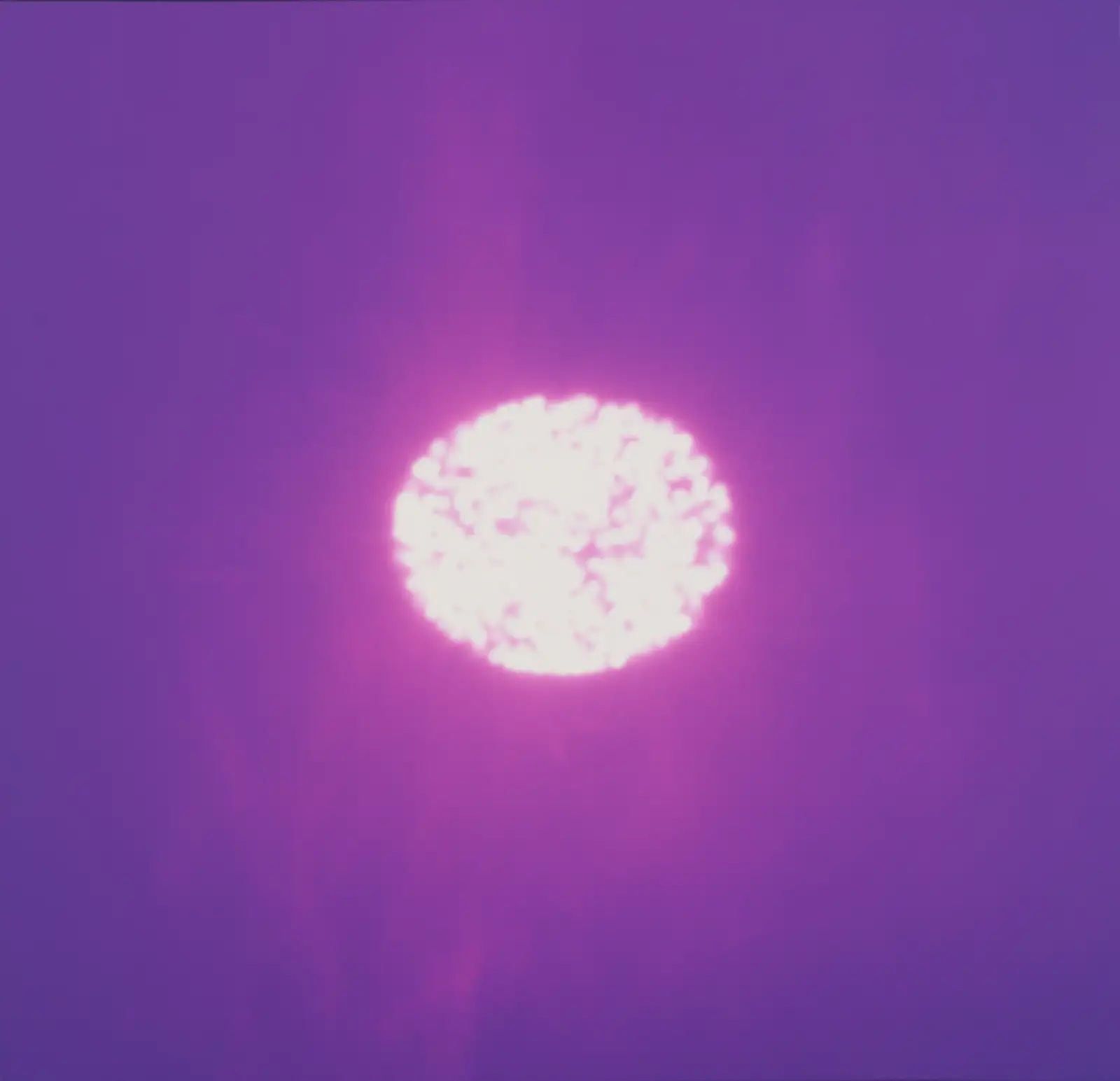 Christopher Bucklow, The Beauty of the World, 4:59 pm, 24th July, 2008