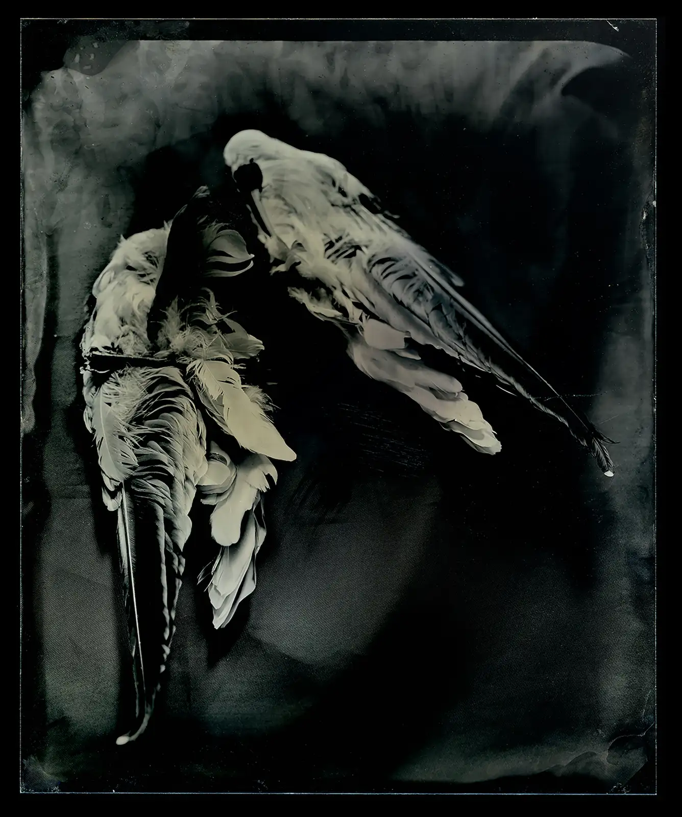 Charlie McCullers & Cecilia Montalvo, Found Object, Study 12, 2018