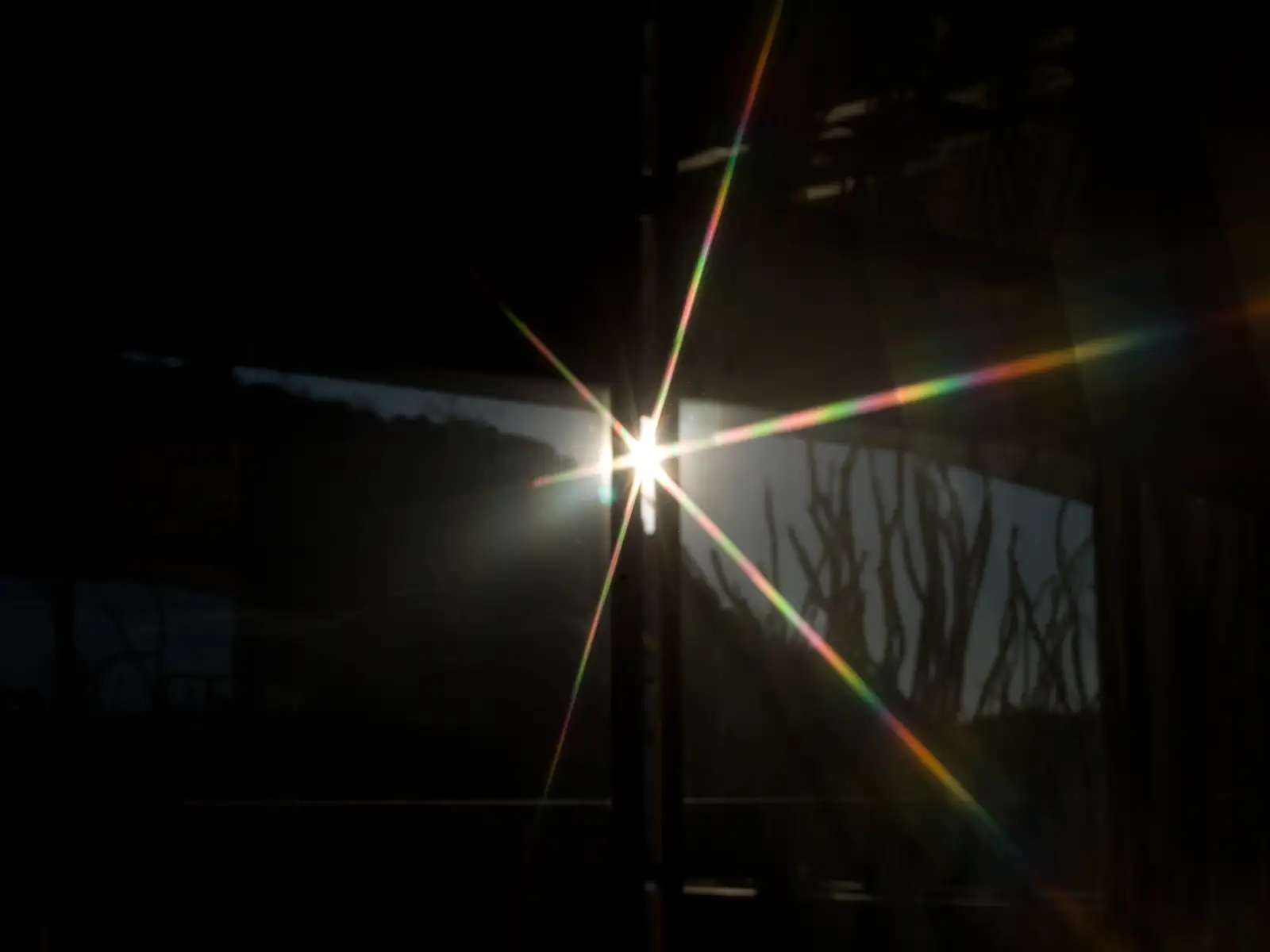 Mona Kuhn, AD 7363, 2013